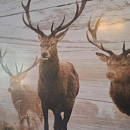 Apartman 2 By Interhome *