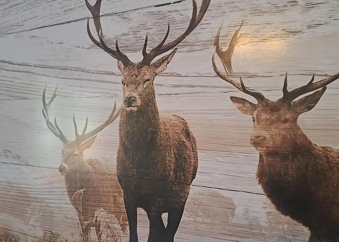 Apartman 2 By Interhome *